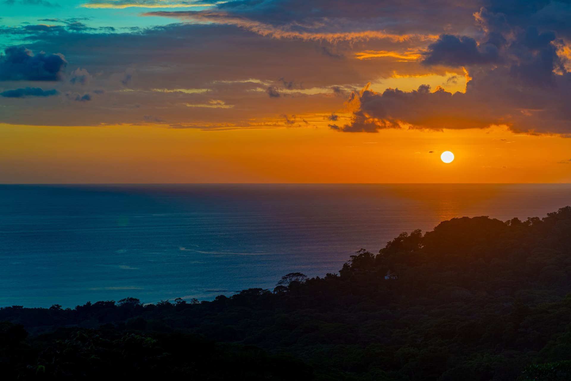 The rainforest setting